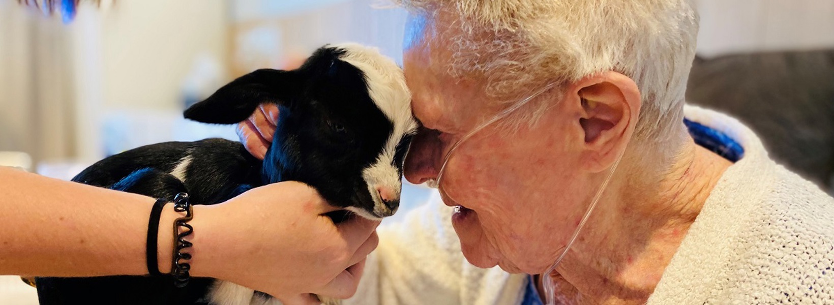 farmday2.jpg farmday2.jpg